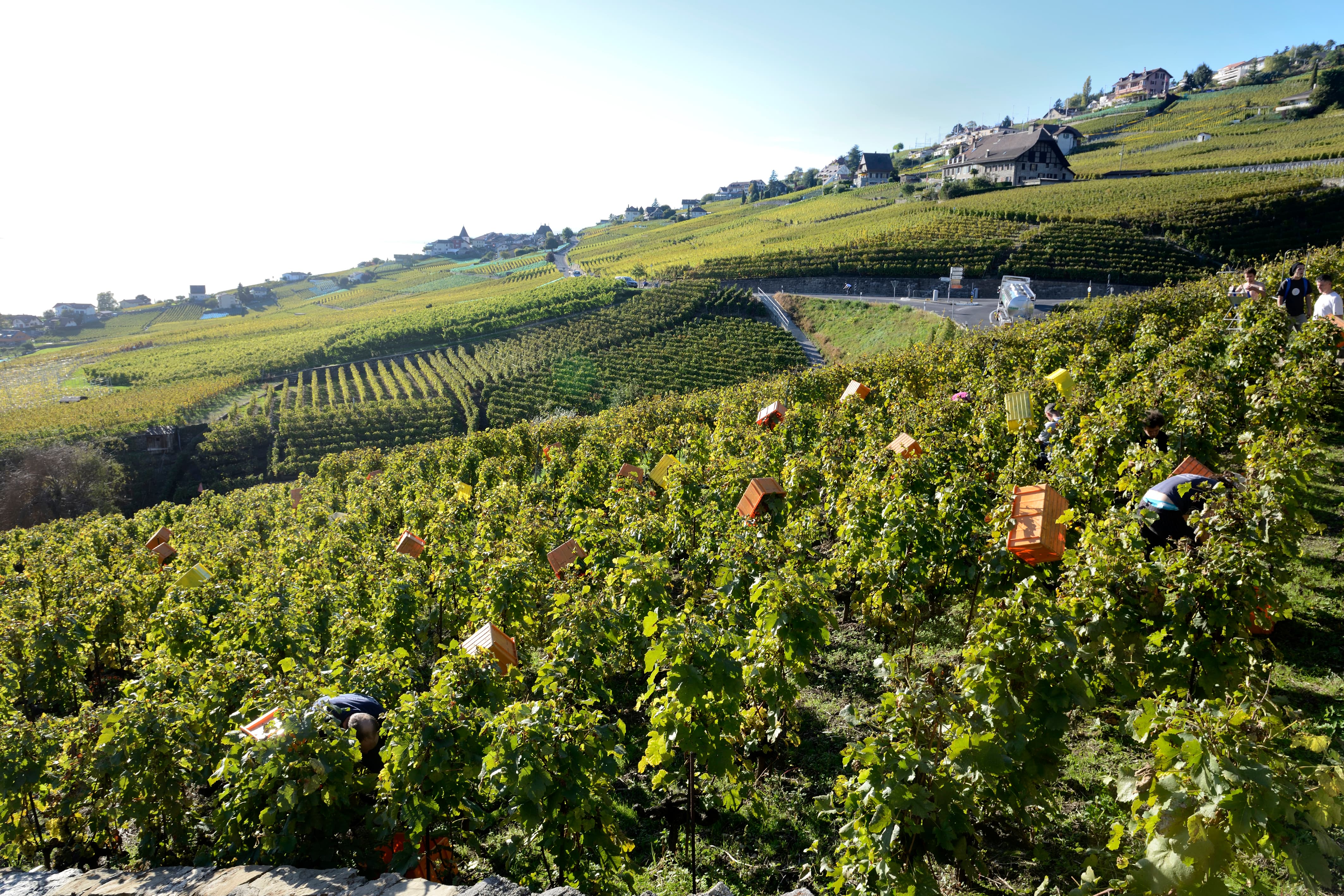 Domaine Porta — photo 2