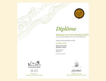 Diplôme — Le Daley 2023, Domaine Porta